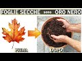 FOGLIE SECCHE? TRASFORMALE IN ORO NERO! IL TRUCCO GENIALE PER USARE LE FOGLIE CHE CADONO IN AUTUNNO