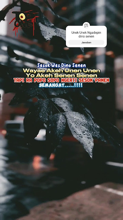 Dino Senen Bakal Panen #katajawa #storywa