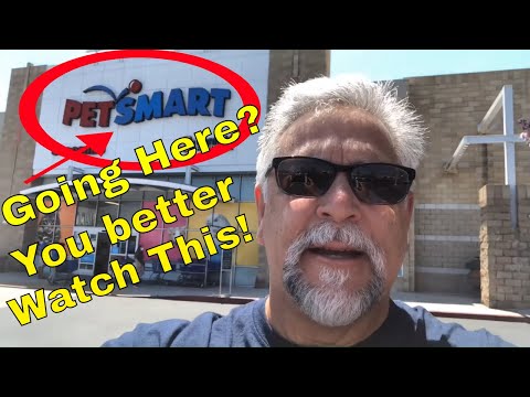 Video: Perché petsmart non vende pesce?