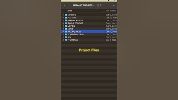 The MOST EFFICIENT FOLDER STRUCTURE For VIDEO EDITORS (Organization Tips)