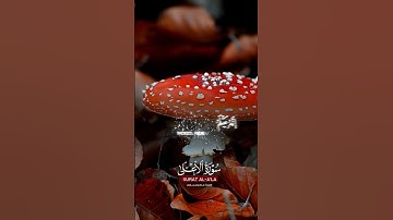 سبح اسم ربك الأعلى 🎧♥️ #ماهر المعيقلي #سورة الأعلى #قرآن #قران كريم #quran #حالات واتس #اكسبلور