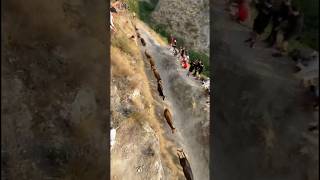 😰 ENCIERRO DEL PILÓN EN FALCES (NAVARRA)