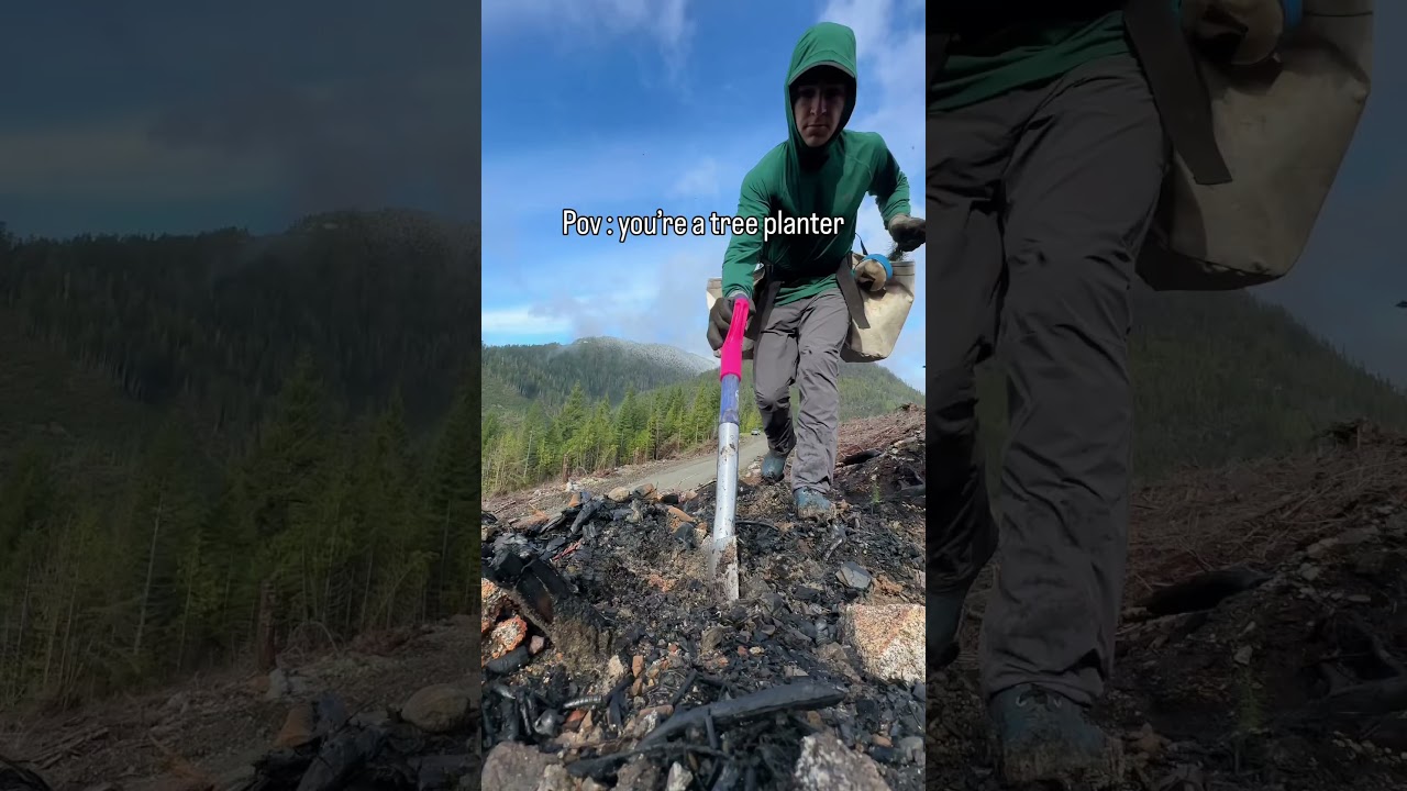 Tree planters are the best🌱