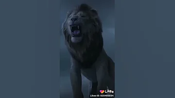 مسلم من امتي كان الاسد عامل حساب 