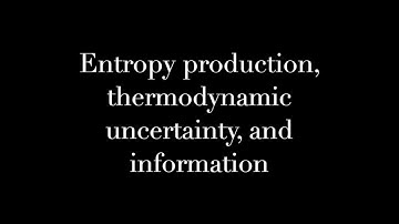 Entropy production, thermodynamic uncertainty, and information