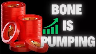 THE MARKET IS PUMPING: BONE SHIBASWAP TOKEN IS UP