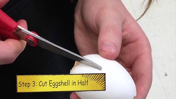 How to Make Egg Geodes