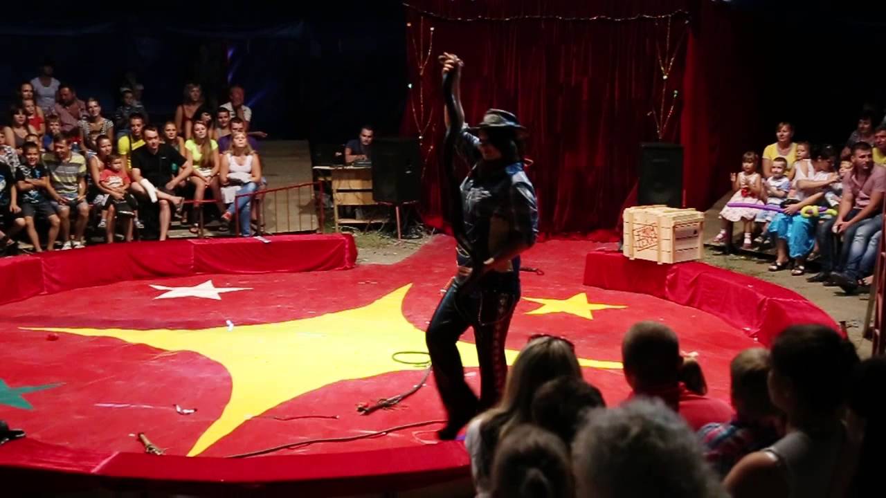 Viktoria Ilchenko - Whip's Show