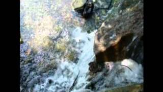 Jour De La Terre - 22 Avril 2011