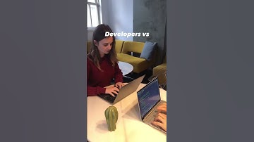 Developer vs Designer