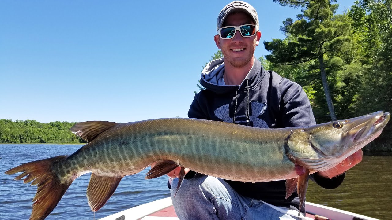 Musky Fishing PostFrontal Conditions (Successful Northern Wisconsin