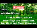 انظر لتلك الشجرة - للشيخ معروف الرّصافي (صوت الرضاوي)