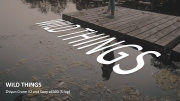 Wild Things - Zhiyun Crane V2 And Sony a6300 (S-log 2)