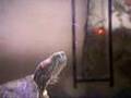 cricket quick pay Red ear slider turtle eats cricket (better quality)