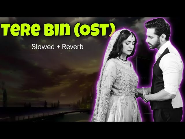 Tere Bin - Pakistani Drama (OST) || Wahaj Ali u0026 Yumna Zaidi || Slowed and Reverb class=