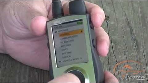 TEK 1.0 - Setting Up Your Dog