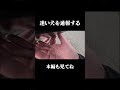 迷い犬を通報する事になった #モトブログ #俳優 # #ツーリング