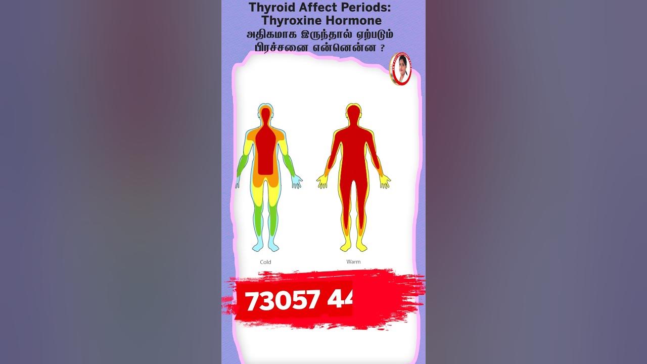 thyroid-affect-periods-thyroxine-hormone