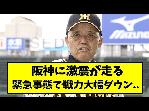 阪神に激震が走る、緊急事態で戦力大幅ダウン..【なんJ反応】