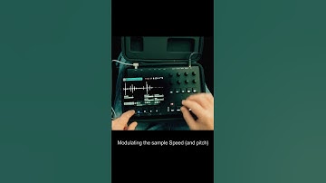 Torso S-4 Performance: 4 Samples, Infinite Textures [No Talking]