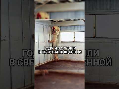 Кто такой SCP 173: Чудовище в Камере #крипипаста #мистика #shorts #scp