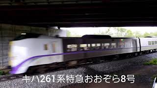 キハ261系特急おおぞら8号、大成橋