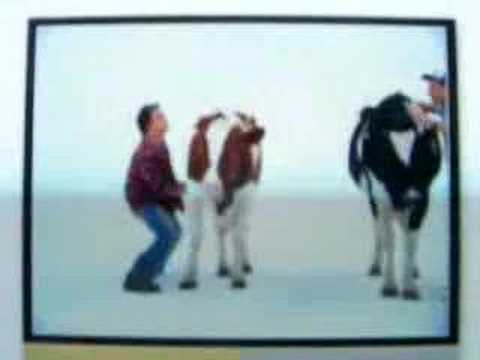 cow shake off youtube