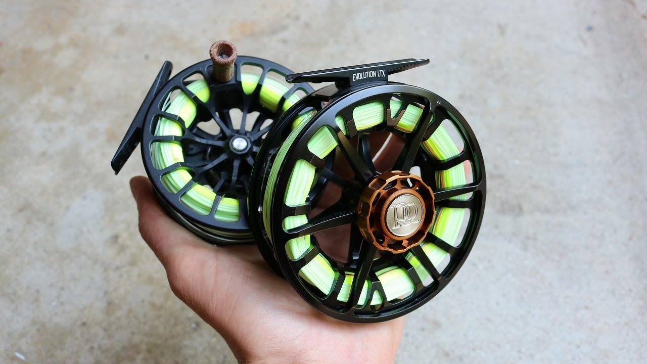 Putting NEW Reels to the Test -- Carp on the Fly 