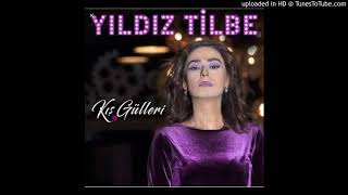 Yıldız Tilbe-Dağıldım Biraz(İnstrumental Karaoke) 2018