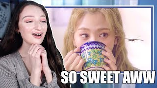 BOL4 볼빨간사춘기 - Leo 나비와 고양이 ft. BAEKHYUN 백현 MV Reaction!!