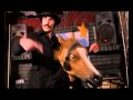 Amazing Horse - Get On My Horse - The Nerd Follia Cover