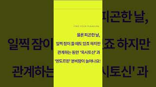 #오르가즘 을 느낀 날에 유독 더 졸려요 ㅣ PLEASURELAB 기쁨연구소 플레저랩 플레져랩