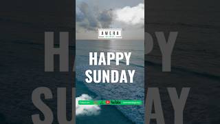 #website #seo #viral #webdesign #webdesign #webdevelopment #awerawebagency #websitedesigner #money