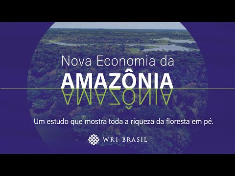 Nova Economia da Amazônia