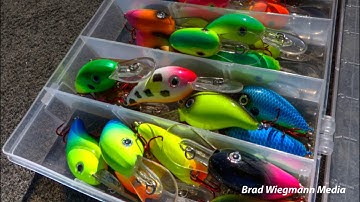 Arkie Lures Crappie Crankbaits featuring Beaver Lake Crappie Guide Payton Usrey