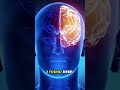 The Future Is Human: Emotional Intelligence + Nature in the Age of AI !