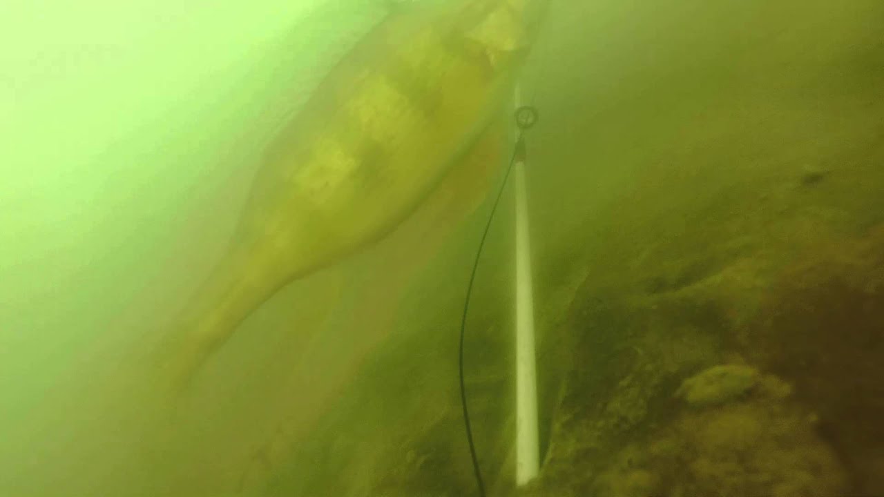 Ice Fishing Eagles Nest Lake YouTube