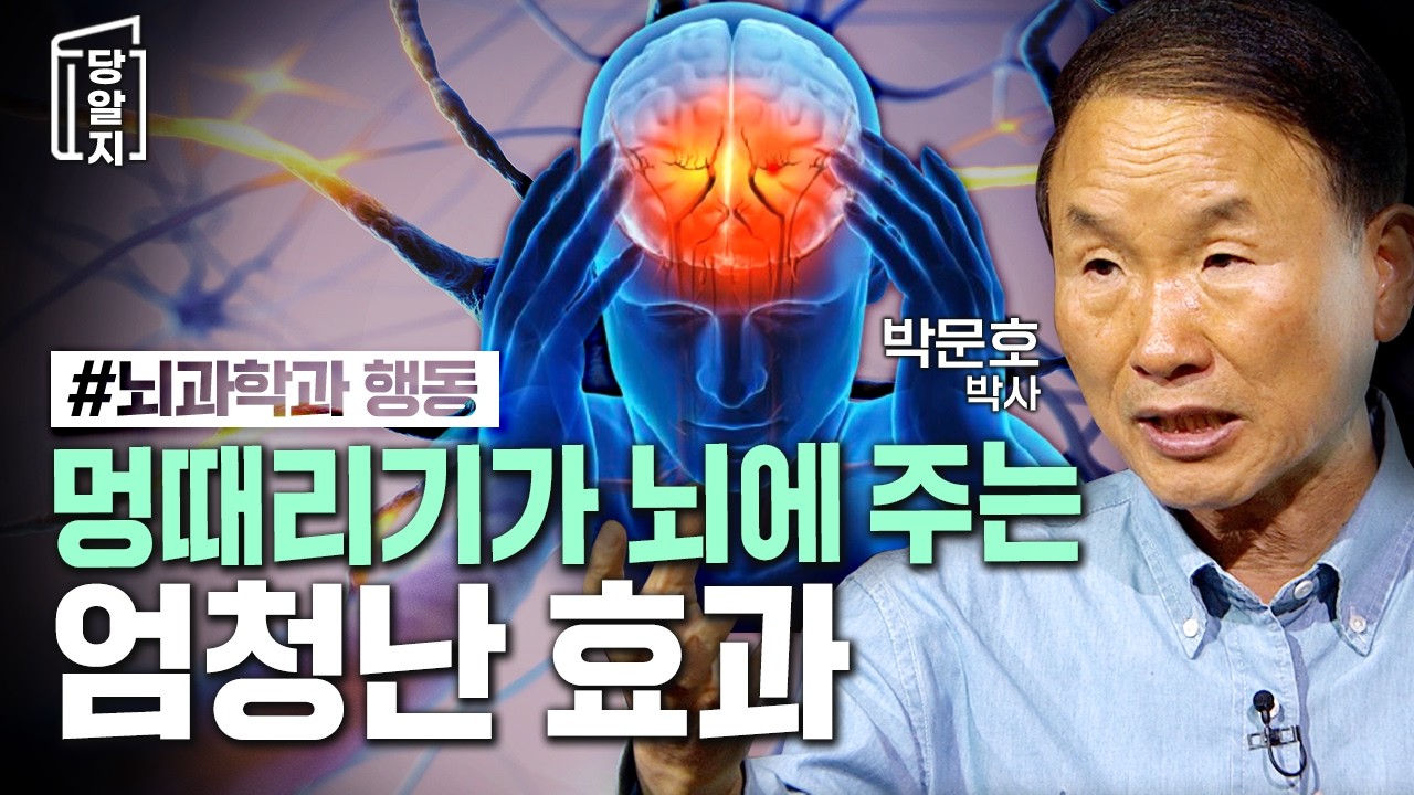 🌟과학브런치🌟멍때리기가 우리 뇌에 좋다고? 박문호박사가 알려주는 멍때리기의 엄청난 효과! l #박문호 박사 [#당알지 ]
