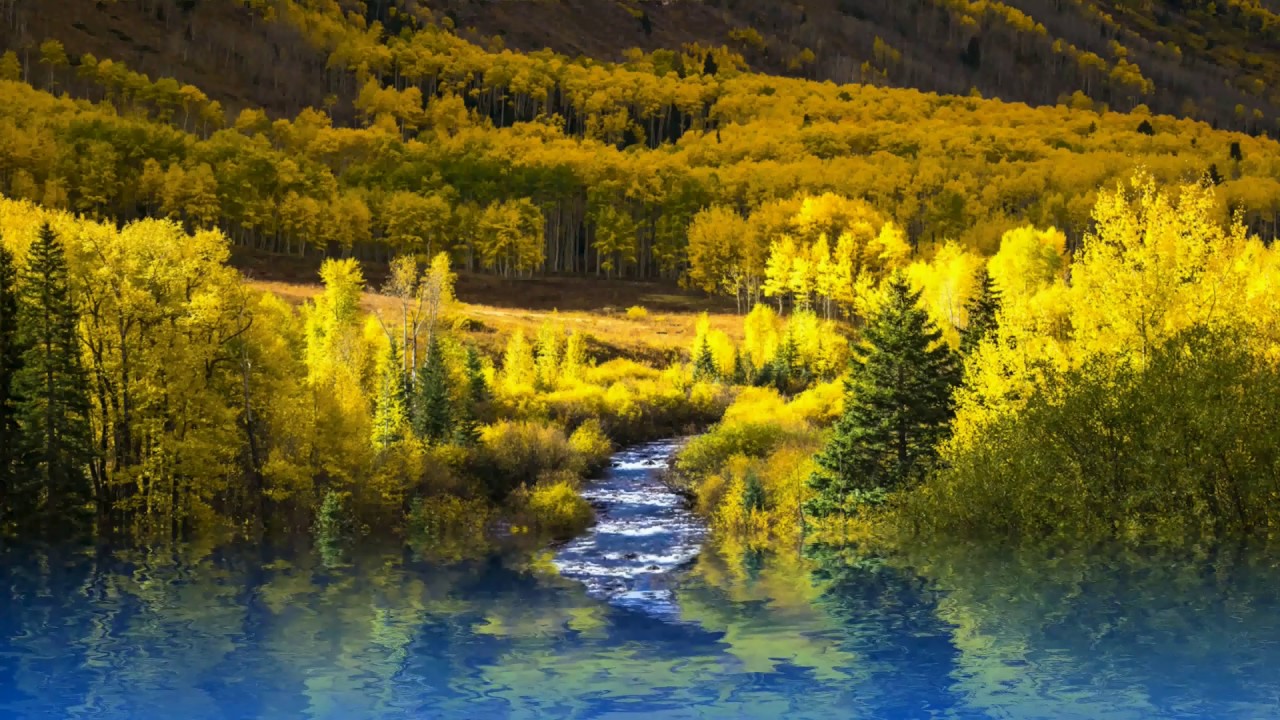 Yellow Creek YouTube