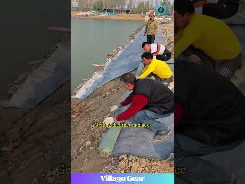 Building a Pond: