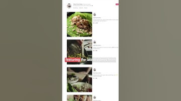 How to Embed TikTok Videos in Elementor #shorts