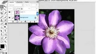 Details Fade Frame in PS Update