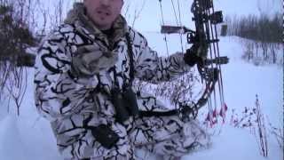 Wild Boar Bowhunt in Saskatchewan