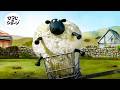 シャーリーの最も楽しい瞬間 🐑😂😁 | ひつじのショーン 公式チャンネル
