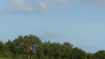 T-rex 450 Sport - First inverted flight