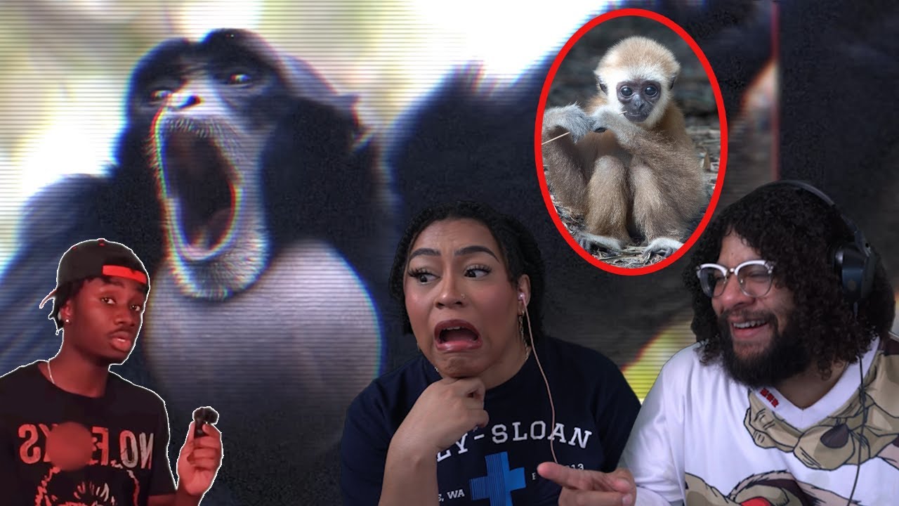 The Funniest Animal In The World! | Casual Geographic Reaction