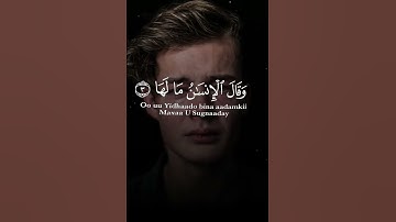 سورة الزلزلة Surah Az-Zalzalah#عبدالولي_الاركاني #abdulwali_alarkani