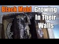 Black Mold Was Growing In Their Walls | Here's Why | THE HANDYMAN |