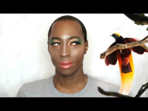Greater Bird of Paradise Makeup look tutorial 