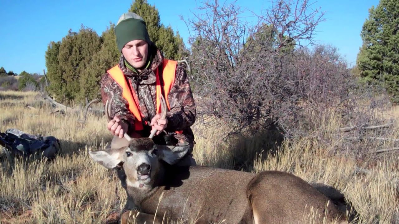 Colorado 2011 Mule Deer Hunting (Unit 62 Third Rifle) - 5 ... - 1920 x 1080 jpeg 263kB